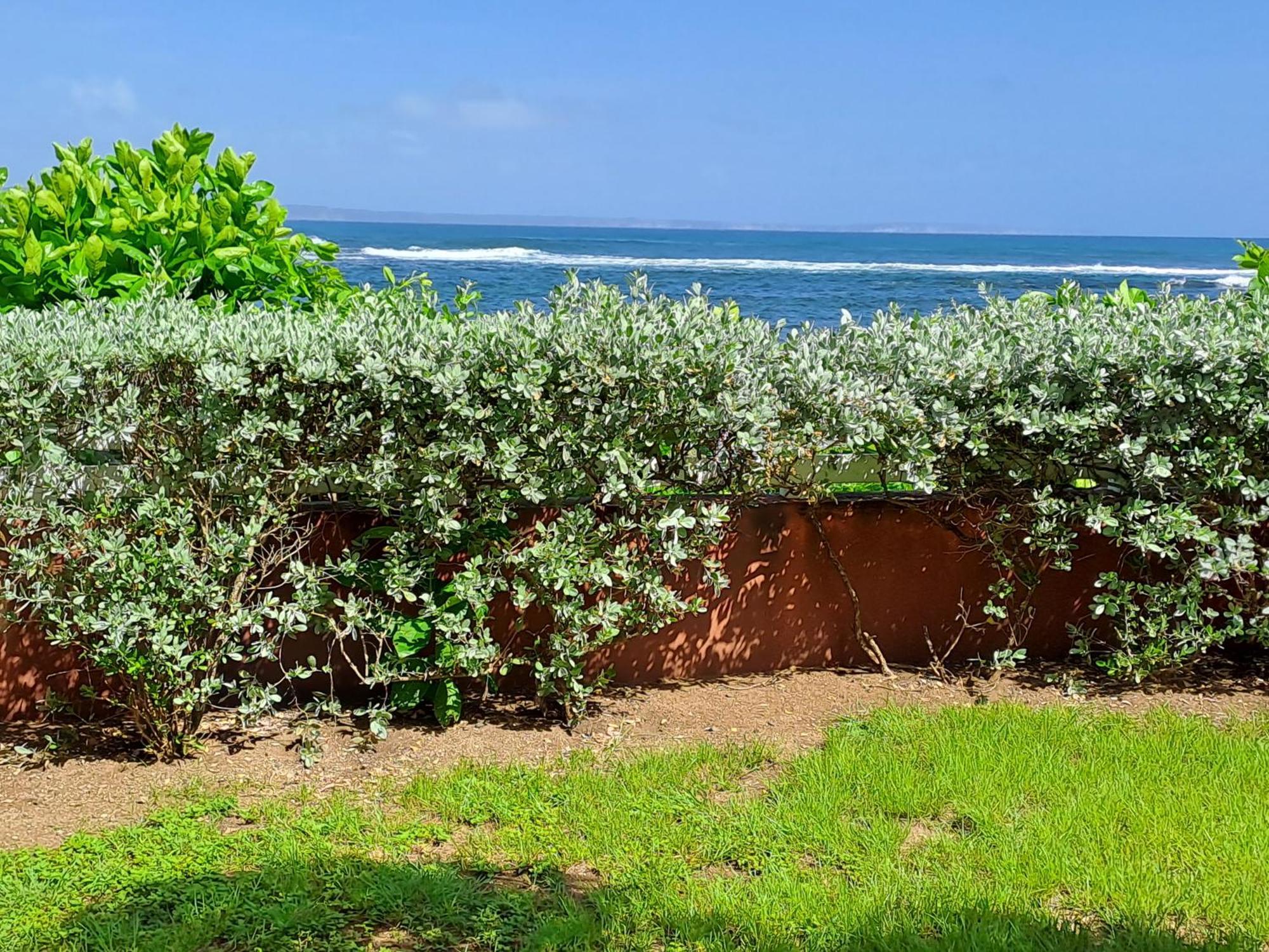 Rdc Appartement En Bord De Mer Au Son Des Vagues Le Moule Dış mekan fotoğraf